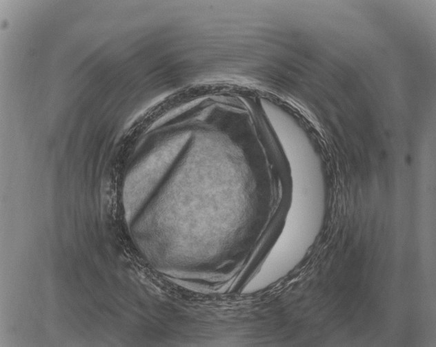 X0000080690872200612301447