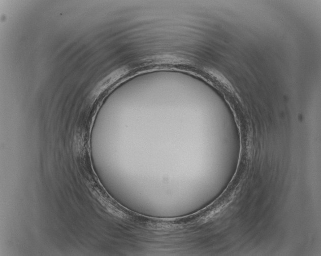 X0000080690873200612301447