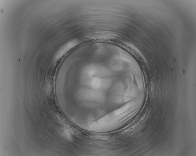 X0000080690874200612301447