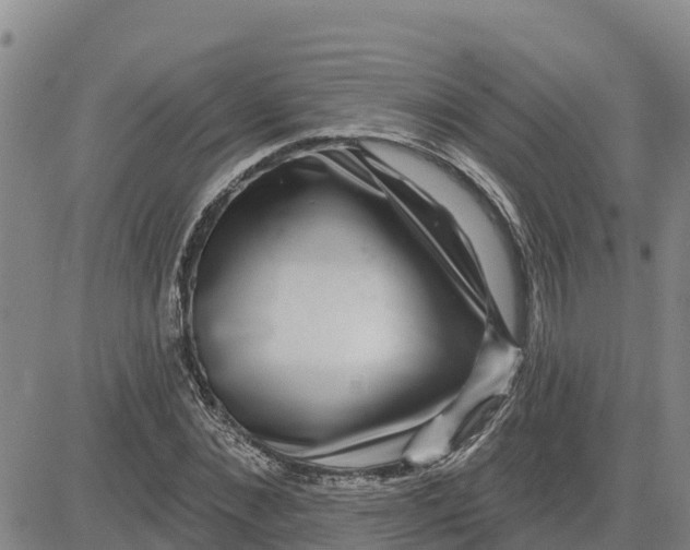 X0000080690876200612301447