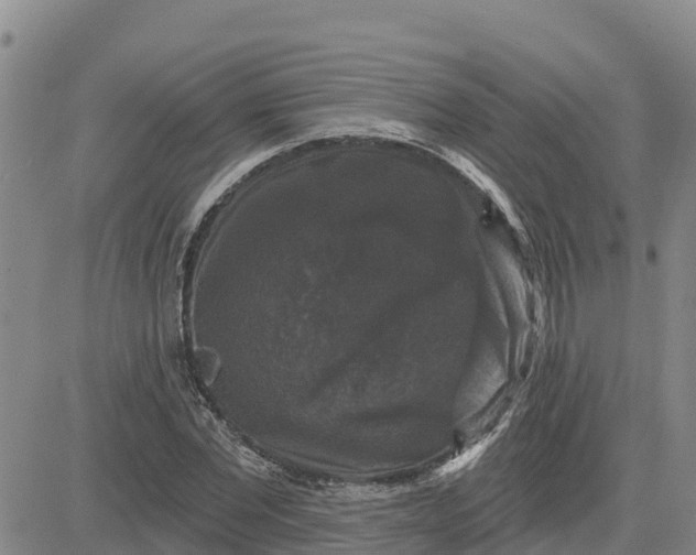 X0000080690877200612301447