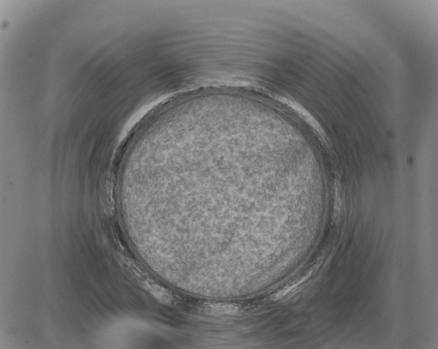 X0000080690878200612301447