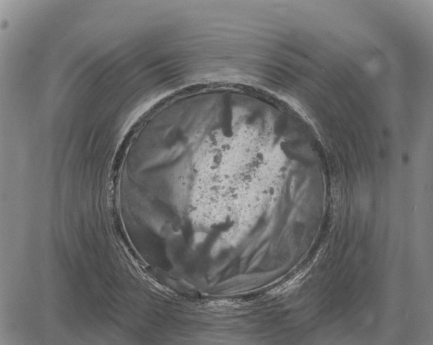 X0000080690879200612301447