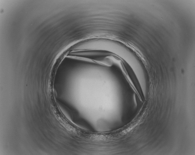 X0000080690880200612301447