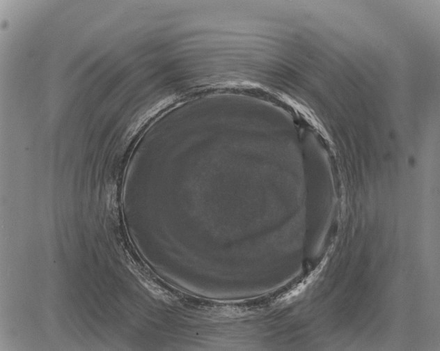 X0000080690881200612301447