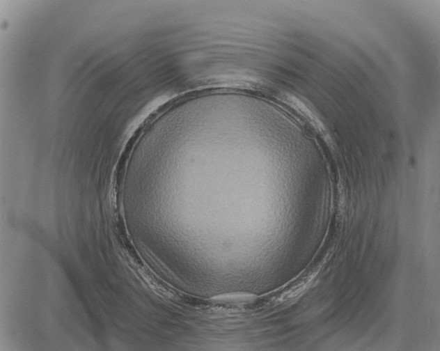 X0000080690883200612301447