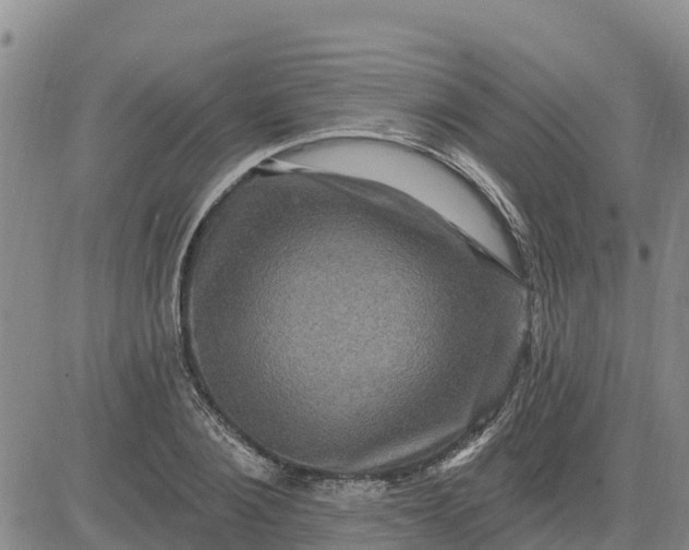 X0000080690884200612301447