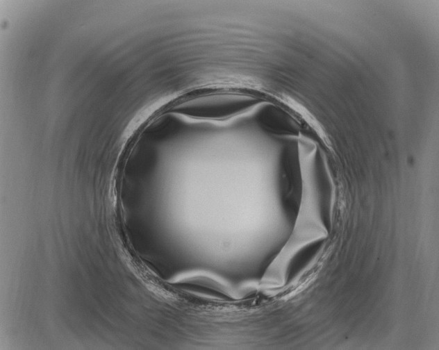 X0000080690885200612301447