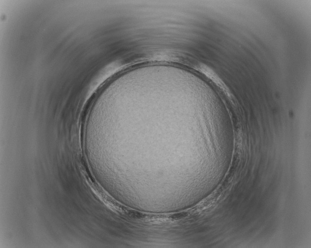 X0000080690886200612301447