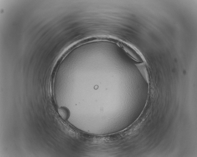 X0000080690887200612301447