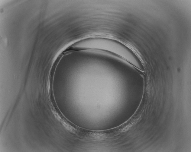 X0000080690888200612301447