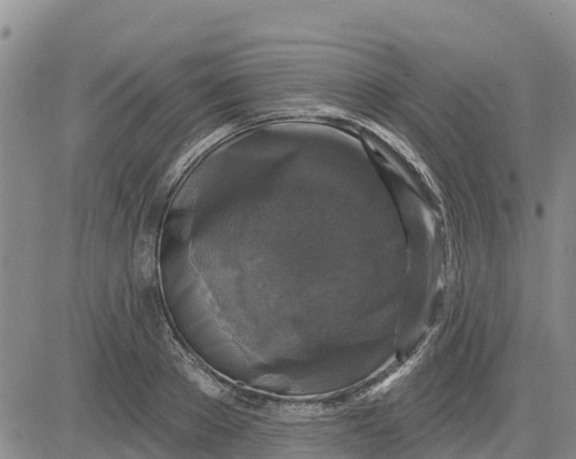 X0000080690889200612301447