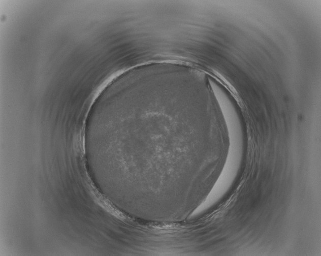 X0000080690891200612301446