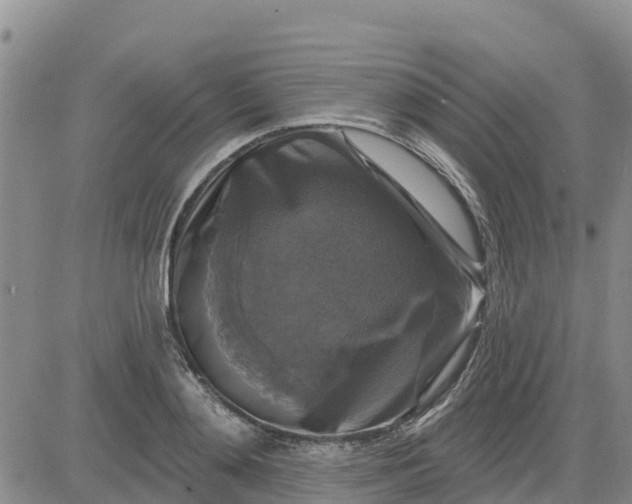 X0000080690892200612301446