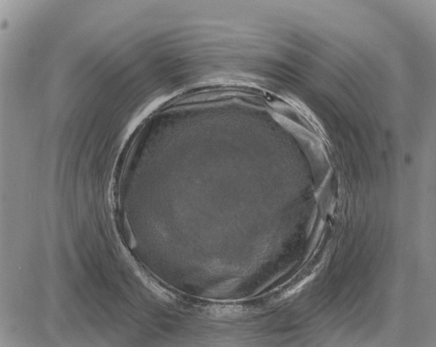 X0000080690893200612301446