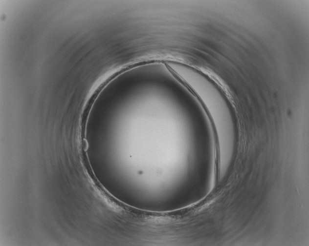 X0000080690894200612301446