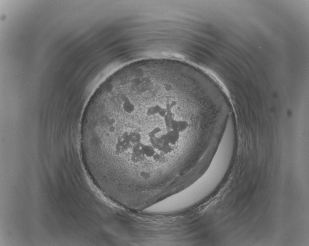 X0000080690895200612301446