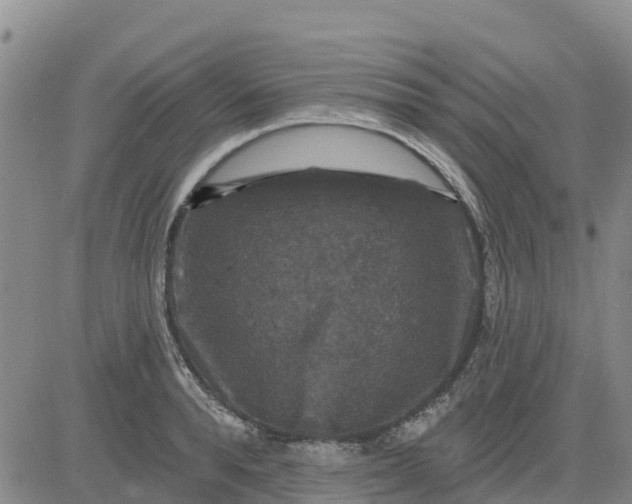 X0000080690896200612301446