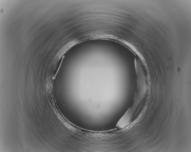 X0000080690897200612301446