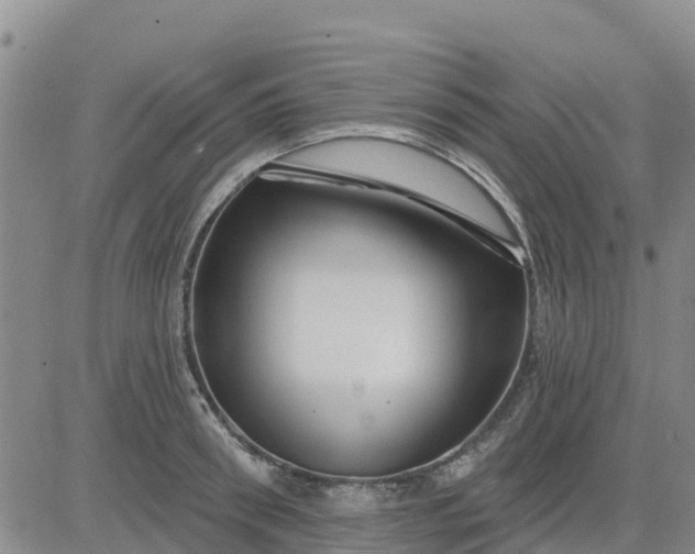 X0000080690898200612301446