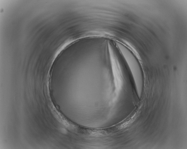 X0000080690899200612301446