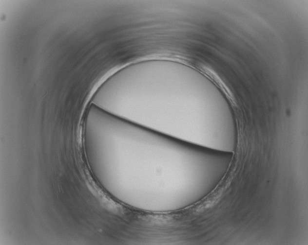 X0000080690900200612301446