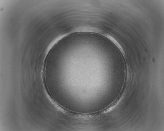 X0000080690901200612301446