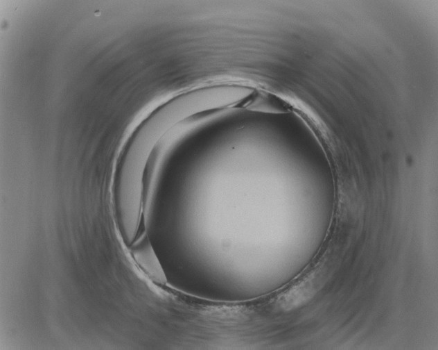 X0000080690902200612301446