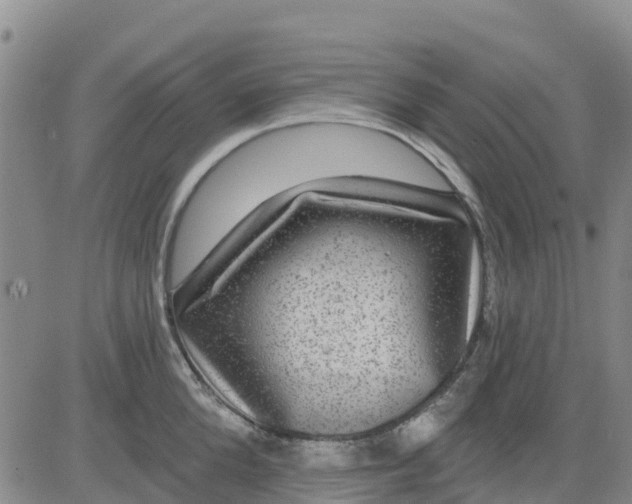 X0000080690904200612301446