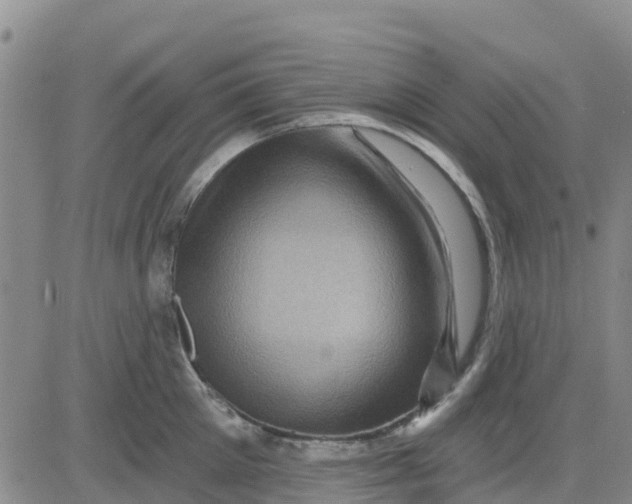 X0000080690905200612301446