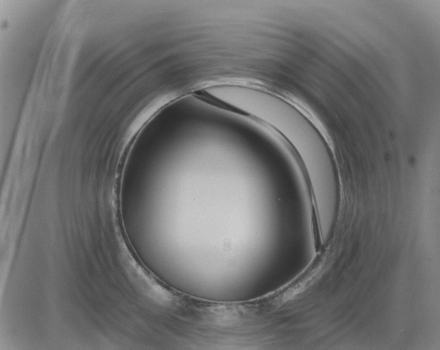 X0000080690906200612301446