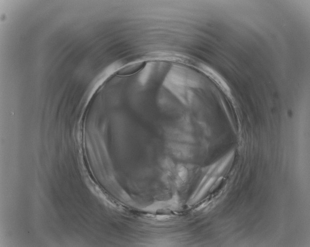 X0000080690907200612301446