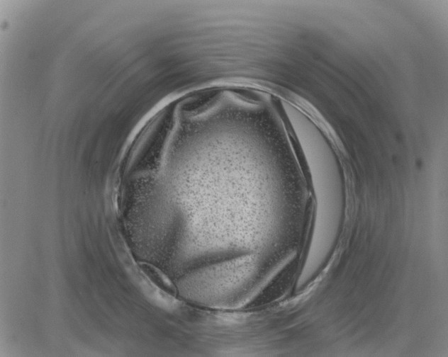 X0000080690908200612301446