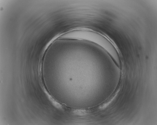 X0000080690909200612301446