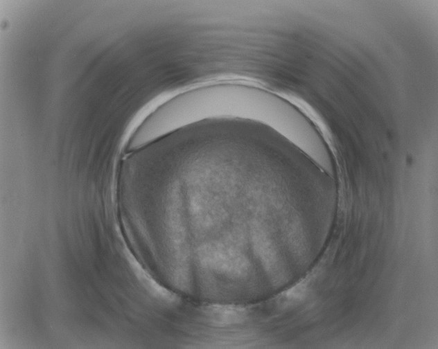 X0000080690910200612301446