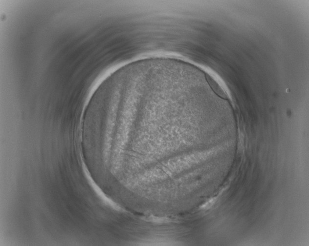 X0000080690911200612301446