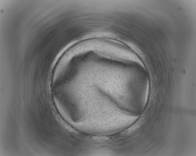 X0000080690912200612301446