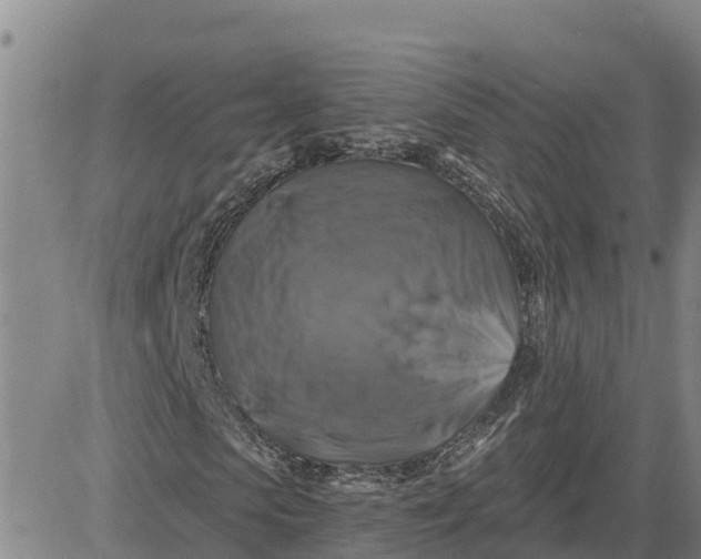 X0000080690913200612301445