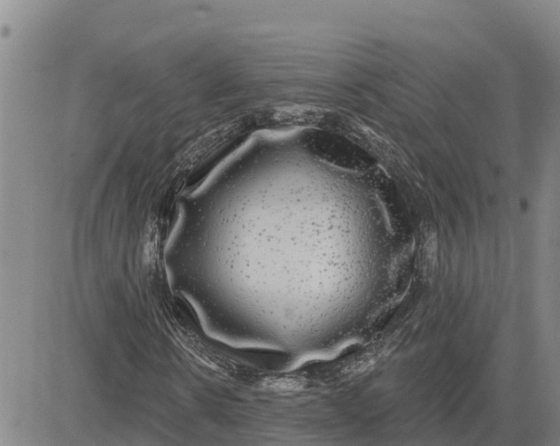 X0000080690914200612301445