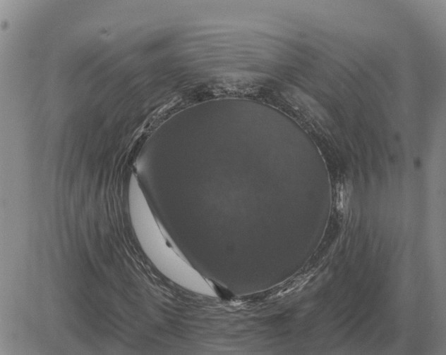 X0000080690915200612301445