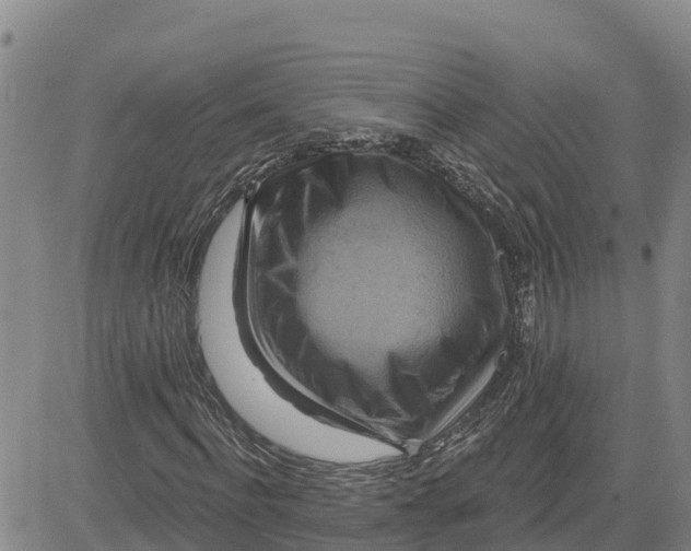 X0000080690916200612301445