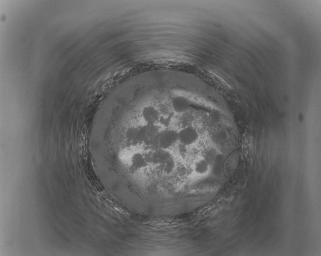 X0000080690917200612301445