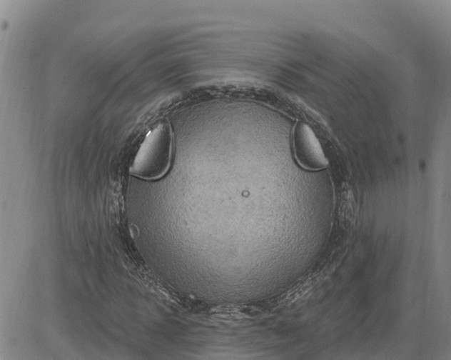 X0000080690918200612301445