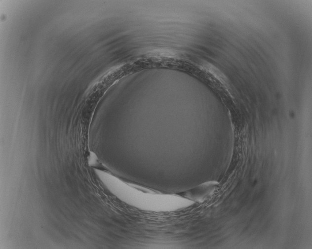 X0000080690919200612301445