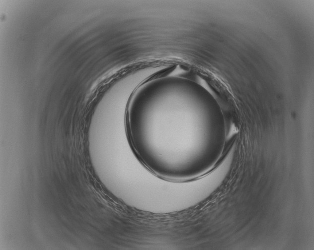 X0000080690920200612301446