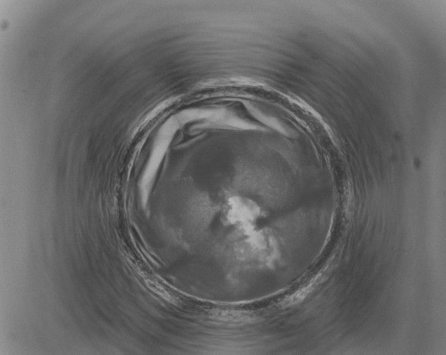 X0000080690921200612301446