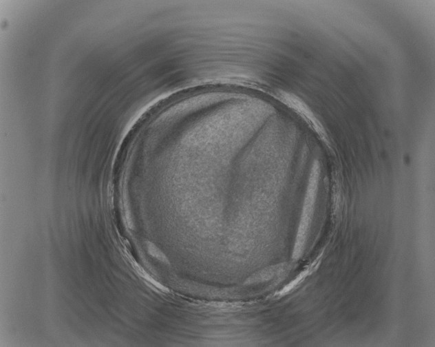 X0000080690924200612301446