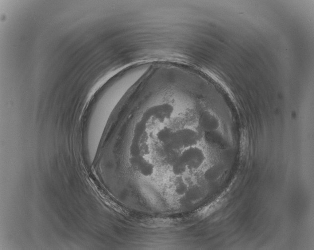 X0000080690925200612301446