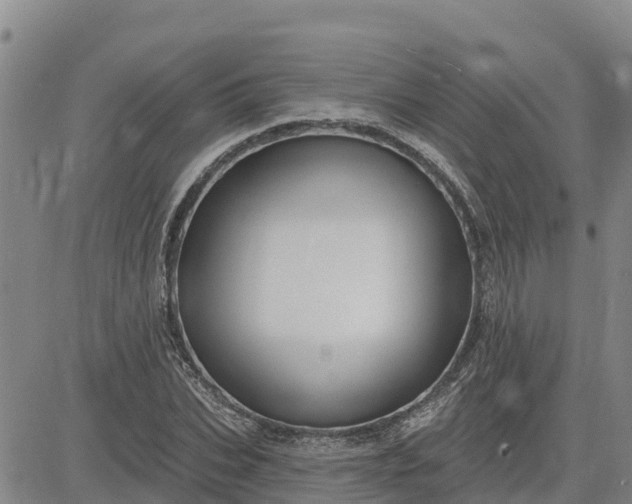 X0000080690927200612301446