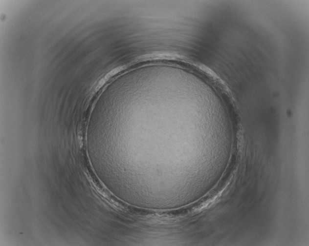 X0000080690929200612301446